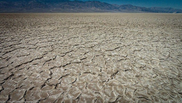 Salt Flat