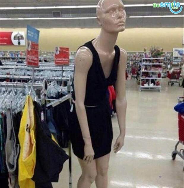 Похожее изображение