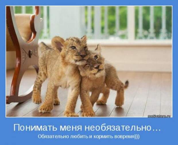 Мотиваторов будет достаточно.
