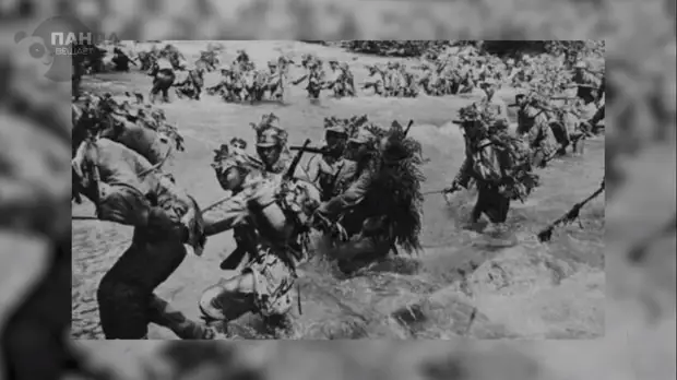 Из 1000 солдат осталось 20: уникальный случай, когда военную битву выиграли крокодилы