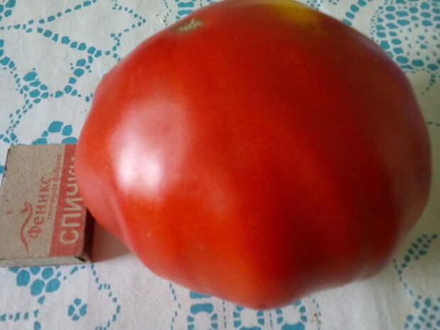 Этот помидор уже съели...