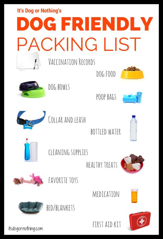 Dog Friendly Travel