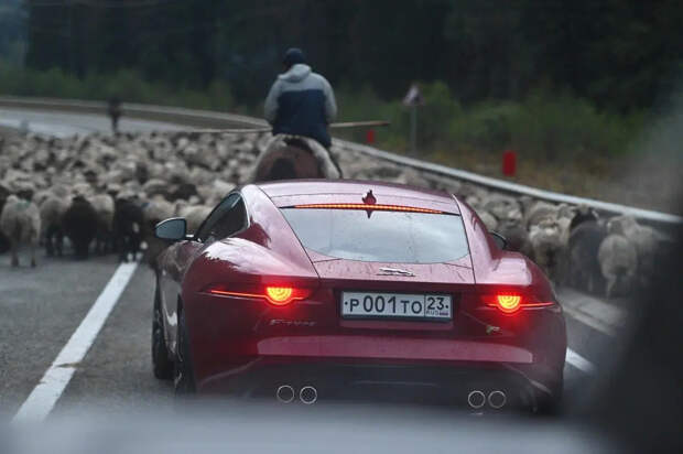 Чем заплатит водитель за дрифт на дороге: не только деньгами за штраф