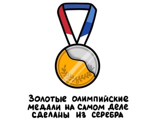 Короткие интересные факты на все случаи жизни