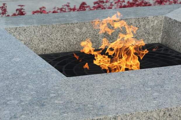 Бастрыкин взял под личный контроль дело о попытке тушения Вечного огня в Киришах