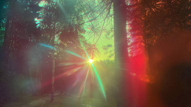 Мария Инькова, из проекта «Lucida Morgana»