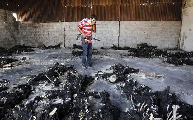 Эмоциональные снимки  конкурс, лучшие, фото, фотоподборка