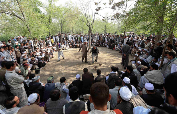 AFGHANISTAN/