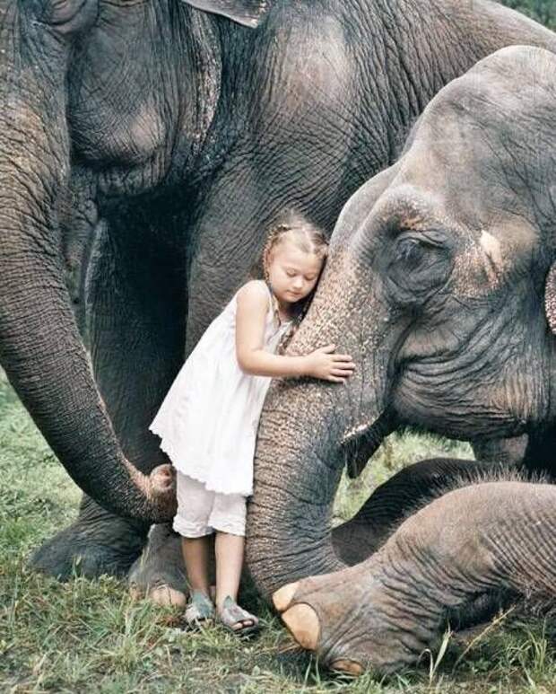 Невероятные фотографии и просто веселые картинки (11 фото) Невероятные фотографии и просто веселые картинки (11 фото)