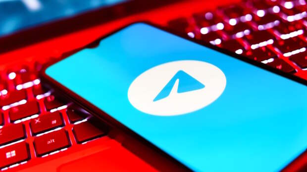 Вероятность возобновления работы Telegram в РФ высока, заявили в СПЧ
