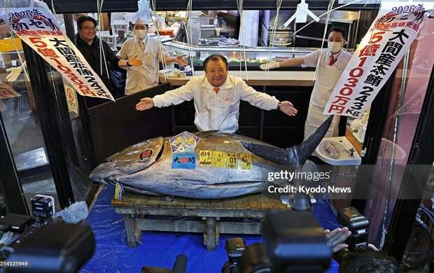 На аукционе в Японии продали редкую рыбу за 3,2 млн долларов