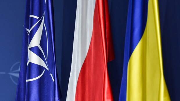 В Сети отреагировали на поедание бандеровского флага украинцем в Варшаве В Сети отреагировали на поедание бандеровского флага украинцем в Варшаве