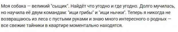 www.vsyako.net