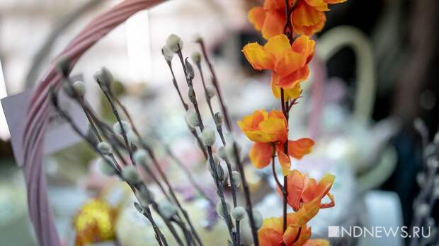 Стартовала Вербная неделя