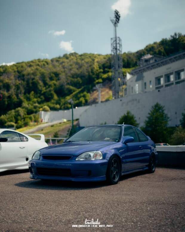 Lowdaily