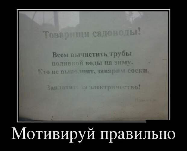 Демотиваторы (30 фото)