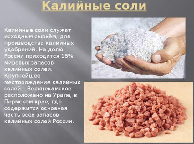 Чтобы получить хороший урожай вам нужно удобрение калийная соль