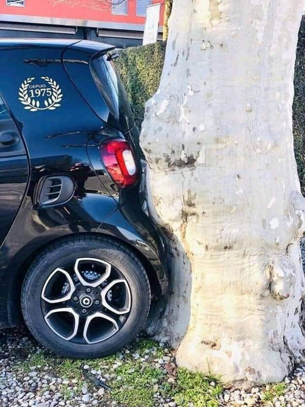 Приятные фотографии, на которых вещи идеально подходят друг к другу