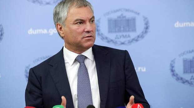 Володин назвал циничной провокацией допрос российского депутата в США