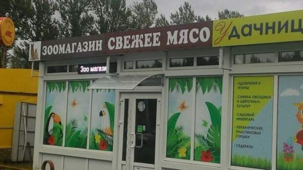 Недоверием сквозит сея подборка. Или так только кажется? Недоверием сквозит сея подборка. Или так только кажется?