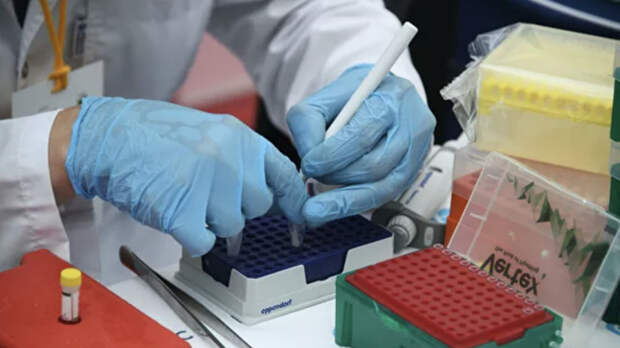 Россия поставила Венесуэле более 43 тысяч тестов на коронавирус