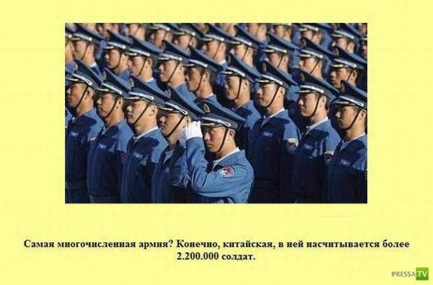 Интересные факты в картинках