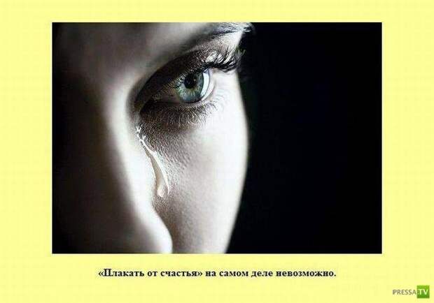 Интересные факты в картинках