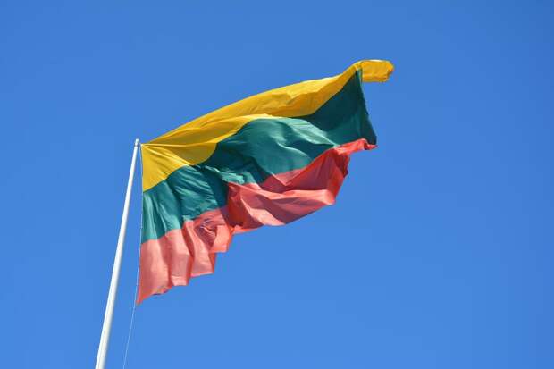 ЦИК Литвы: кандидат в президенты Вегеле подкупал избирательниц розами на 8 Марта