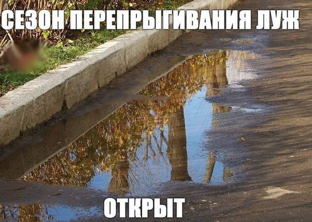 Вот почему осенью лучше уезжать из России листья, осень, печаль, прикол, юмор