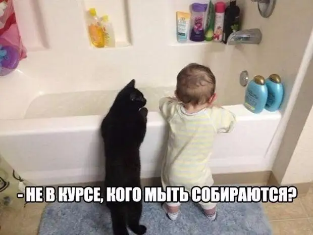 Когнитивный диссонанс — это, когда ты одновременно хочешь простого домашнего уюта и прокутить пару тысяч евро в Сан-Франциско Когнитивный диссонанс — это, когда ты одновременно хочешь простого домашнего уюта и прокутить пару тысяч евро в Сан-Франциско после, спрашивают, Ответ, радио, измерения, учительница, Вовочка, говорит, Марья, Ивановна, делать, плохо, очевидно, когда, только, единиц, Палате, специально, рулетка, оставляет