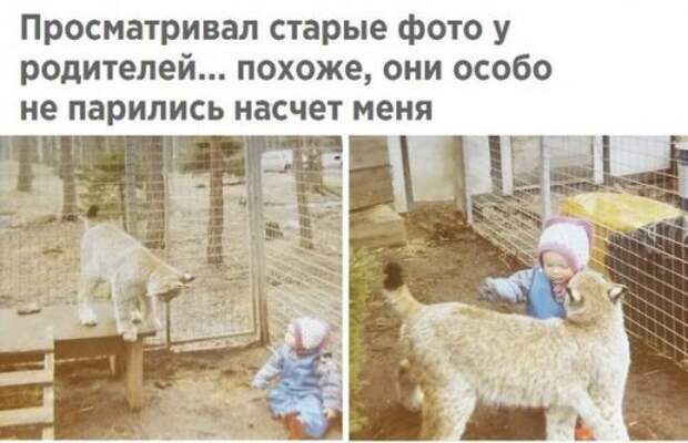 Свежая порция прикольных фотомемов (25 шт)