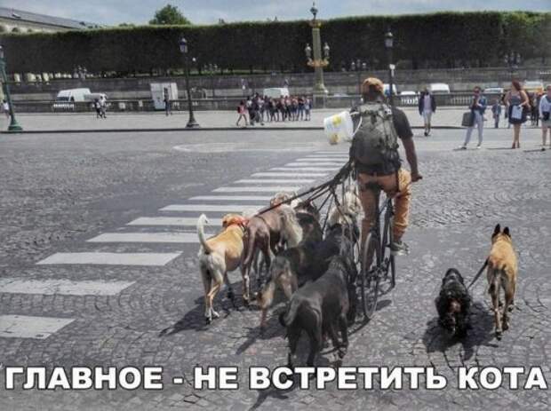 Смешные анекдоты для всех (12 шт)