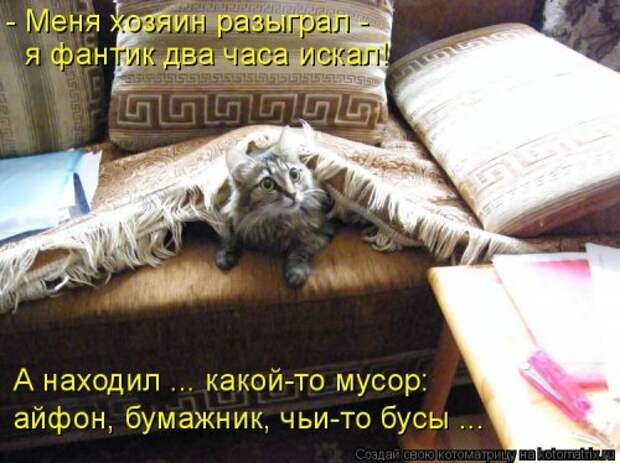 Новая котоматрица на Бугаге (35 фото)