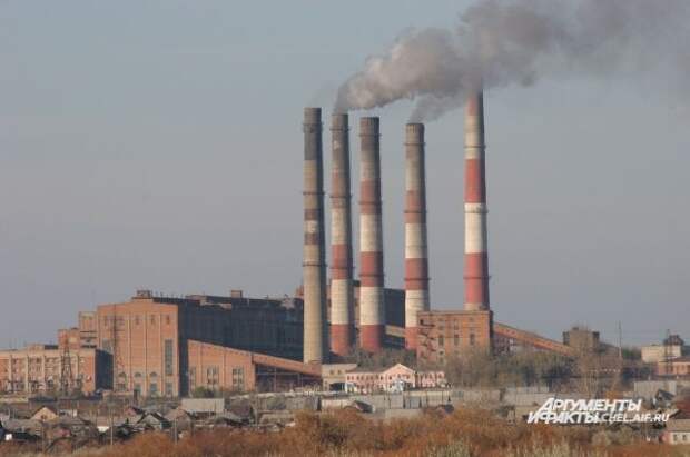 Как улучшить экологическую ситуацию в России? Мнение звёзд