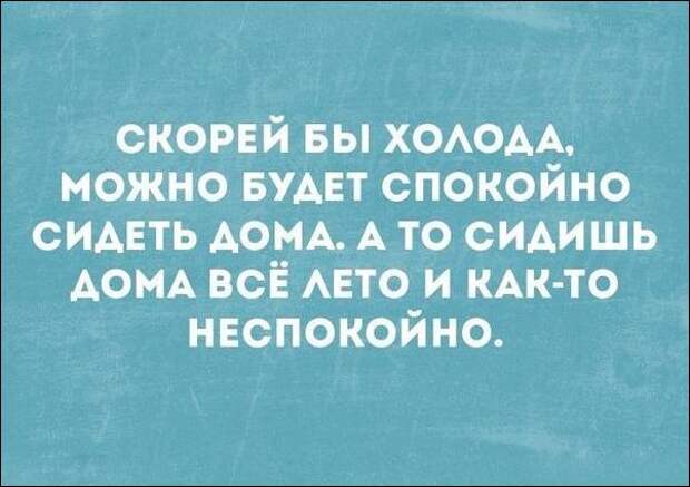 смешные аткрытки
