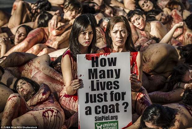 Голый протест зоозащитников в Испании