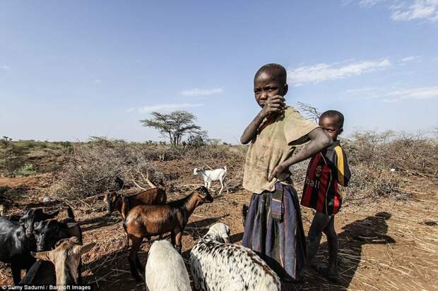 Это африканское племя погибает от засухи африка, дикое племя, странные традиции