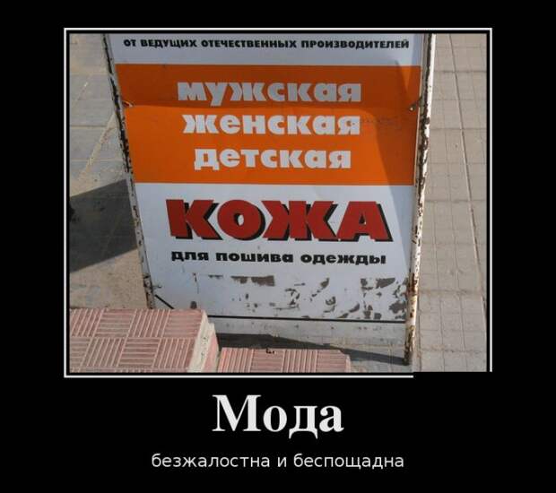 Демотиваторы