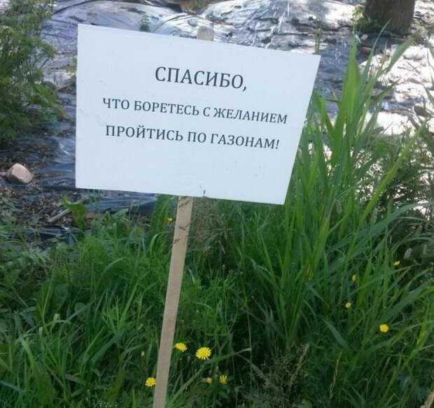 Невероятно смешные объявления!