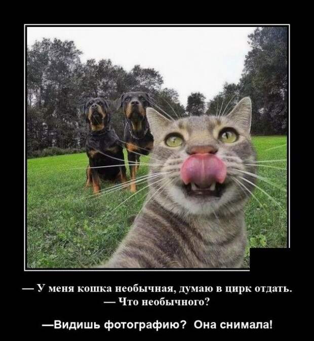 demotivatory-demotivator-smeshnye-demotivatory-demotivator-so-smyslom