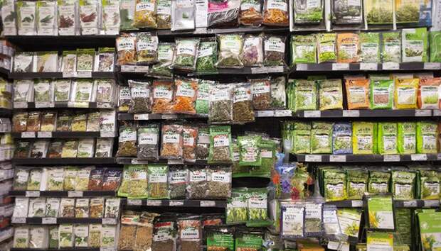 Старые запасы еще послужат: как проверить семена на всхожесть перед посевной