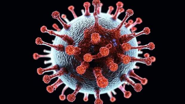 В апреле ожидается пик нового штамма COVID-19