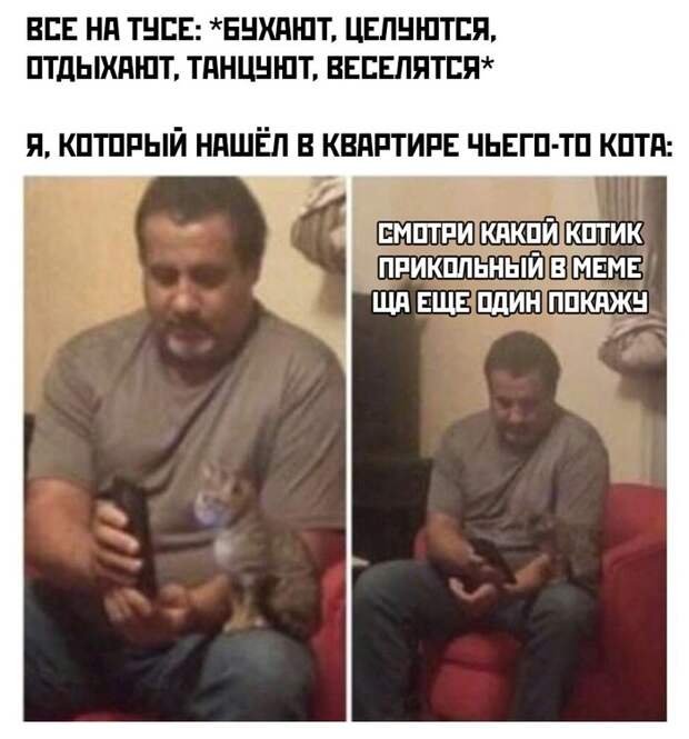 Когда любишь котиков Когда любишь котиков