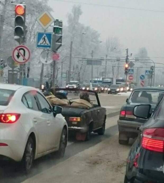 Прикольные картинки картинки из сети, прикол, юмор