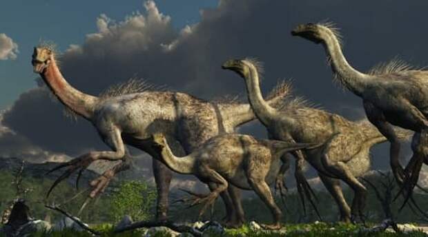 Терезинозавр археология, динозавры, страшилища