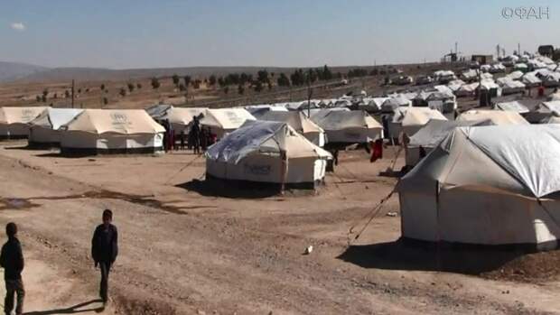 Сирия новости 23 марта 16.30: курды убили пять беженцев в лагере «Аль-Хол», в Хаме САА отбила нападение радикалов