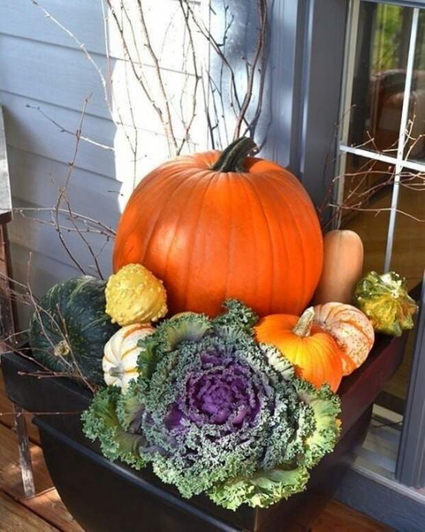 8 способов украсить сад осенью, когда все завяло и опало 8 способов украсить сад осенью, когда все завяло и опало