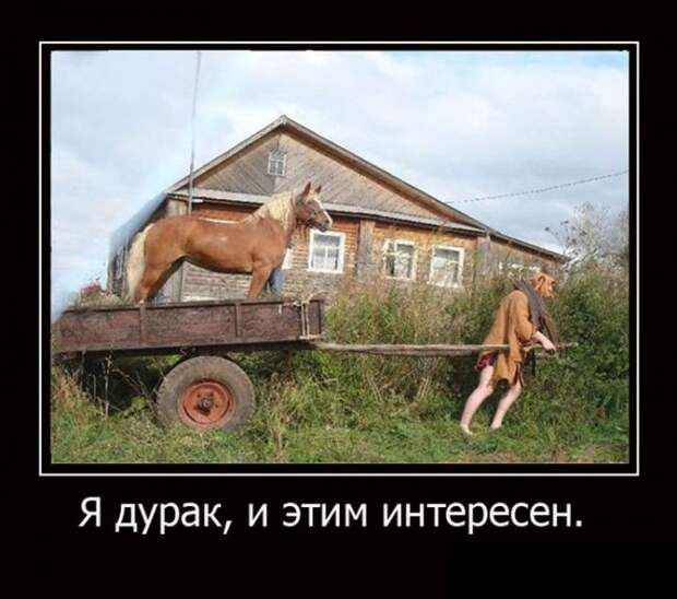 БУДЬ ОПТИМИСТОМ (30 ФОТО)