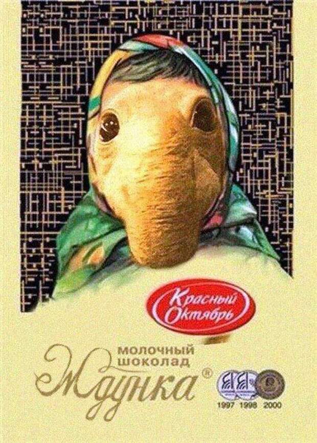 Подборка веселых фото из сетей