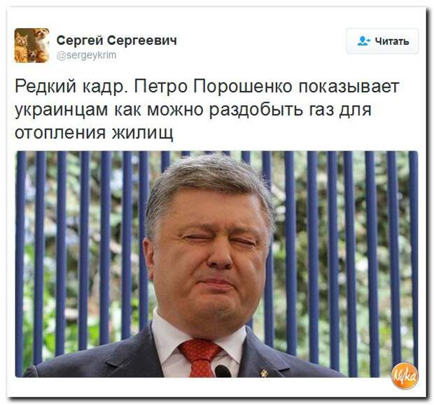 Gm98yrku7x0.jpg